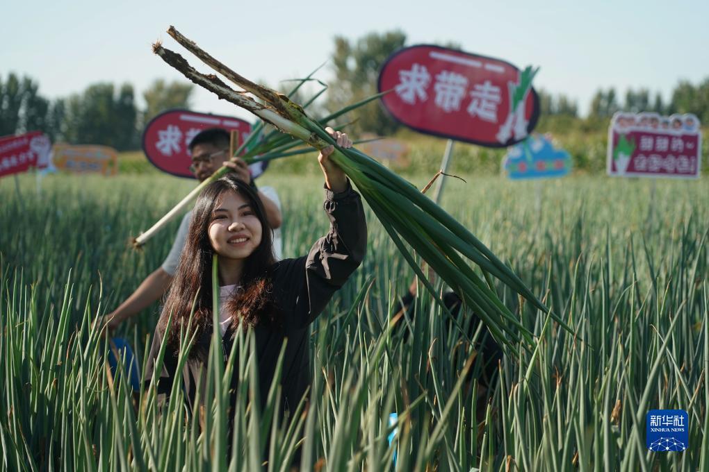 太阳城赌城